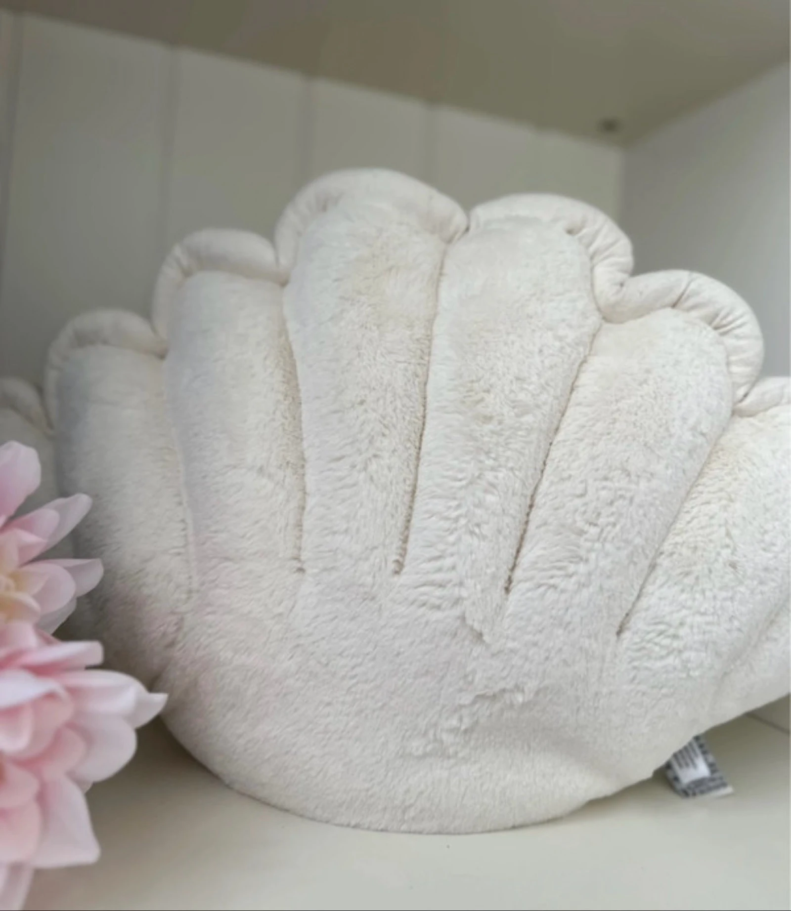 Peluche Chloe Clam de Jelly Cat – photo 3
